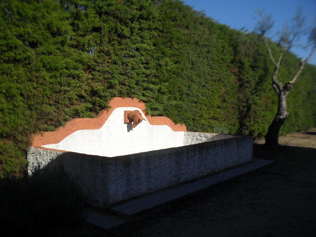 Quinta Do Outeiro Alto Villa Constancia Ngoại thất bức ảnh