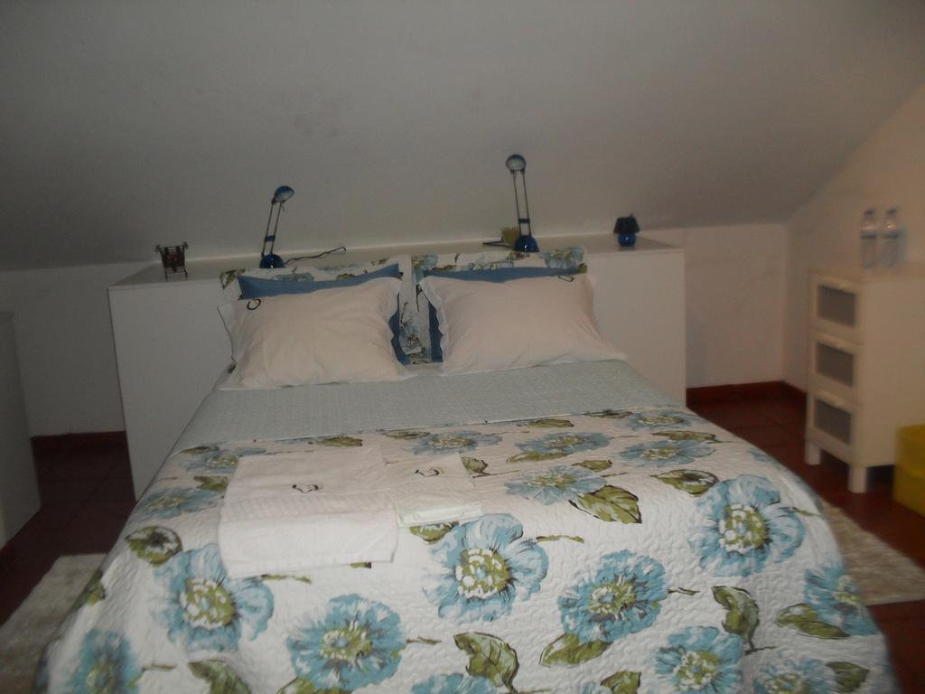 Quinta Do Outeiro Alto Villa Constancia Ngoại thất bức ảnh