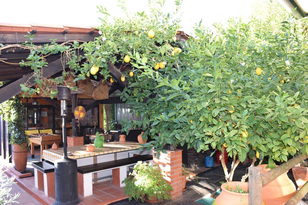 Quinta Do Outeiro Alto Villa Constancia Ngoại thất bức ảnh