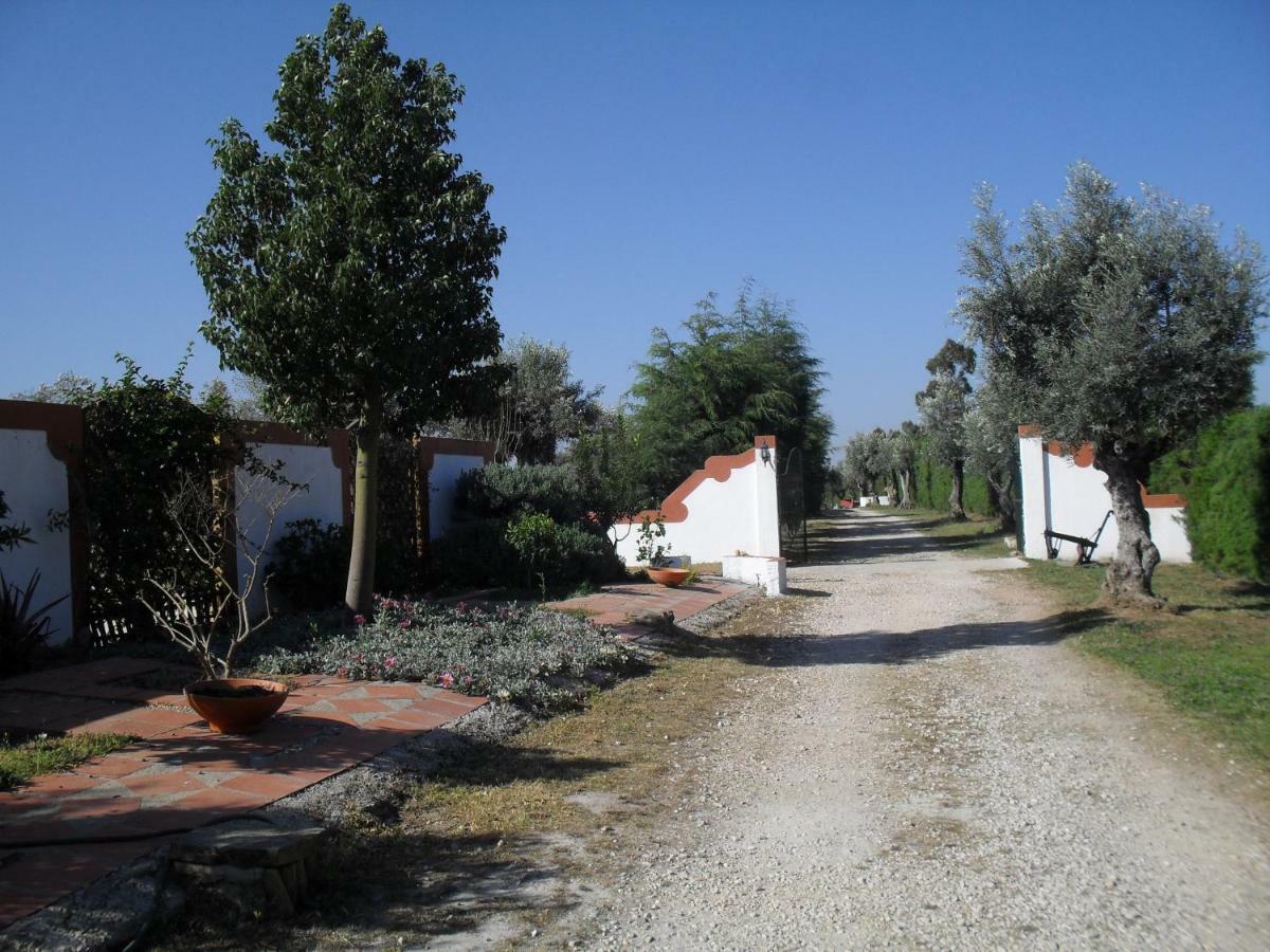 Quinta Do Outeiro Alto Villa Constancia Ngoại thất bức ảnh